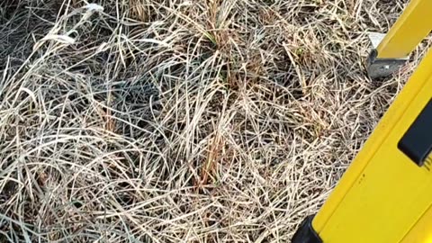 Survey total station
