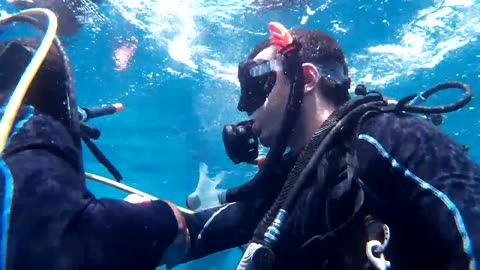 WORST DIVING SAFETY STOP EVER 2 (HAD TO DO A BUDDY BREATHING) IN PALAU