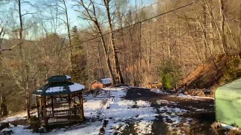 Deer 🦌 NW NC at The Treehouse 🌳 Lady and her crew hope you’re having a blessed Sunday #JesusSaves