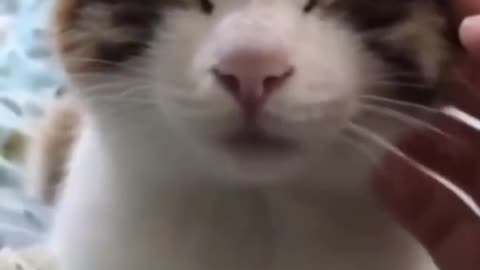 Found the off button