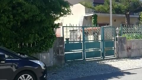 Sintra
