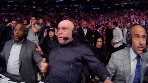 Top UFC Finishes of 2023