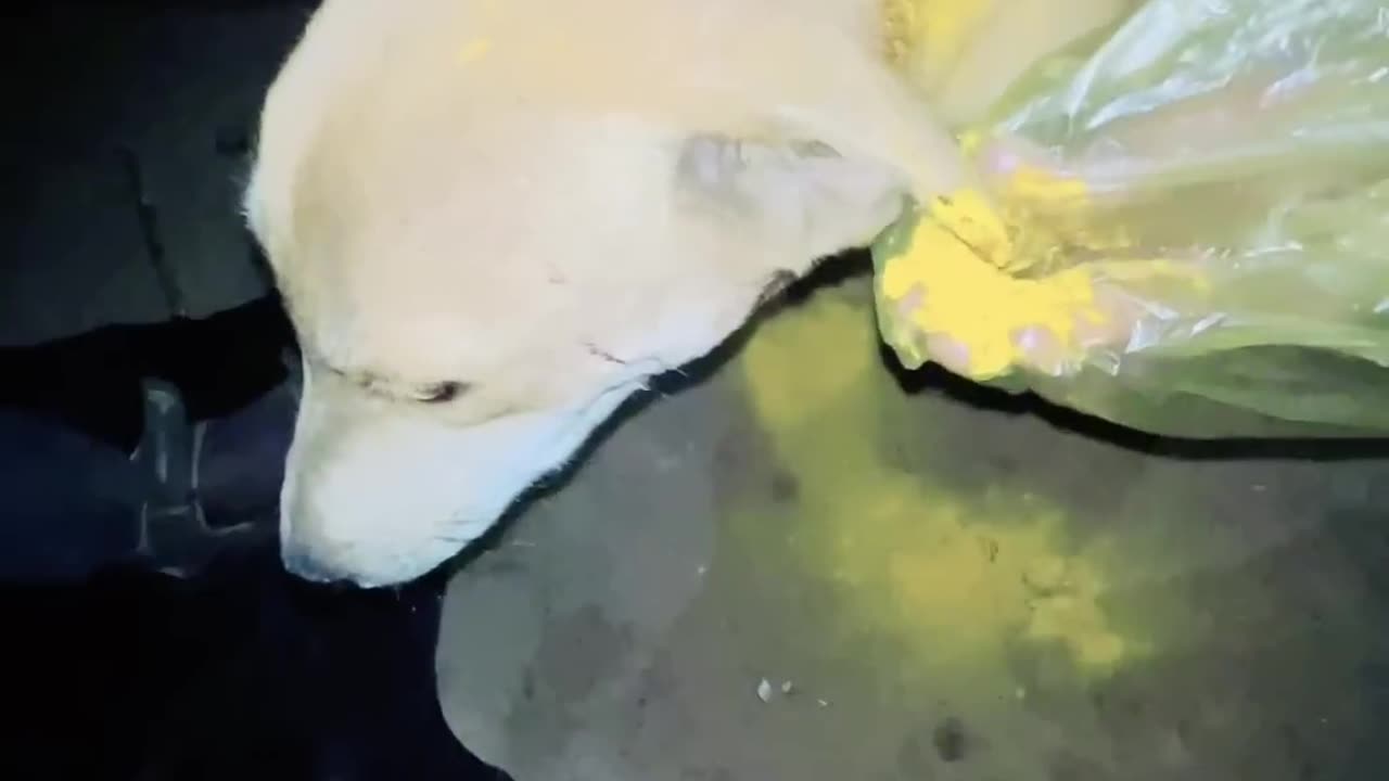 https://youtube.com/shorts/ieYeSRs0QCM?feature=share