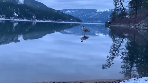 Attunement Blissitation - Chris Madsen