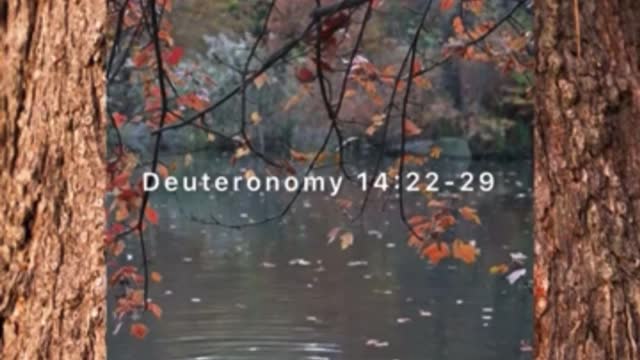 Growing is Giving | Torah Daily - Deuteronomy 14:22-29