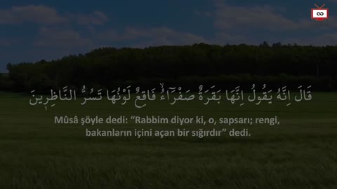 If you have delusions, obsessions or disturbing thoughts, listen to this surah.