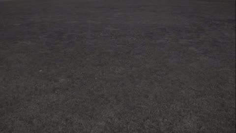 7231USCG00EastFrontHouseEgg_2021-01-05_18h16min06s430ms.mp4