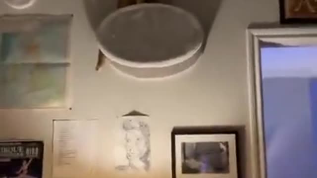 Oh no, time to get a new cat.