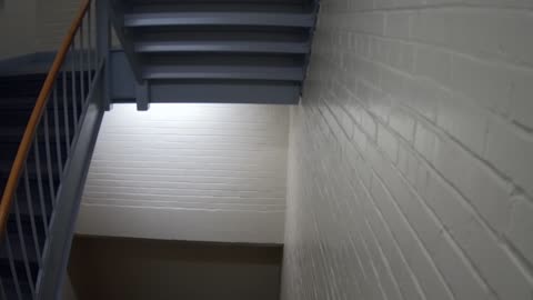 3869FHOB01Stair6_2021-01-06_11h40min01s037ms.mp4