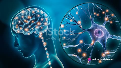 The Impact of daily habits on Brain Health