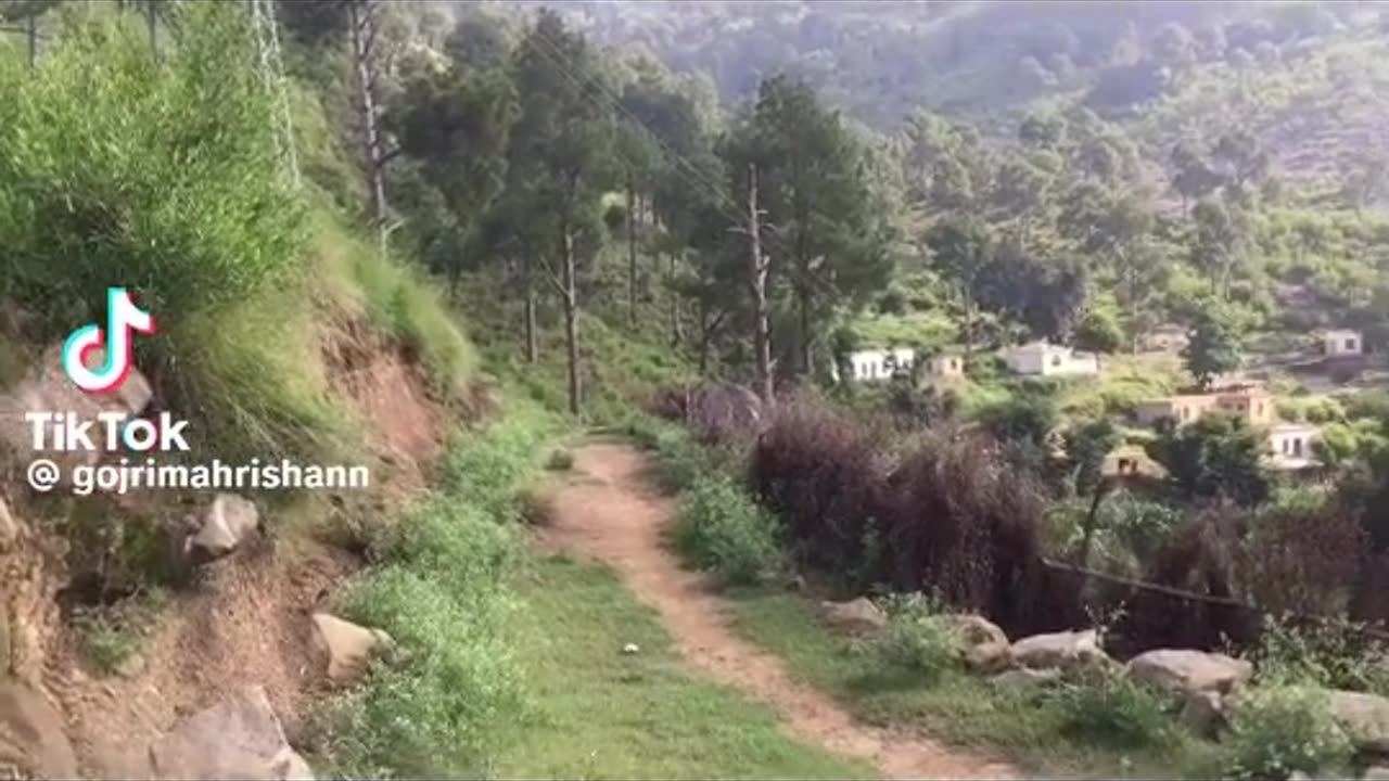 Kashmir beauty