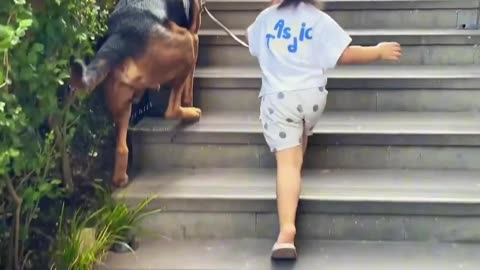 dog friend baby girl