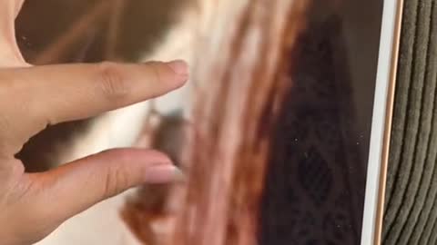 I'm so happy none of us noticed this ad