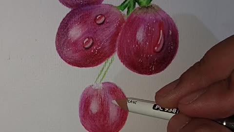 Realistic Drawing