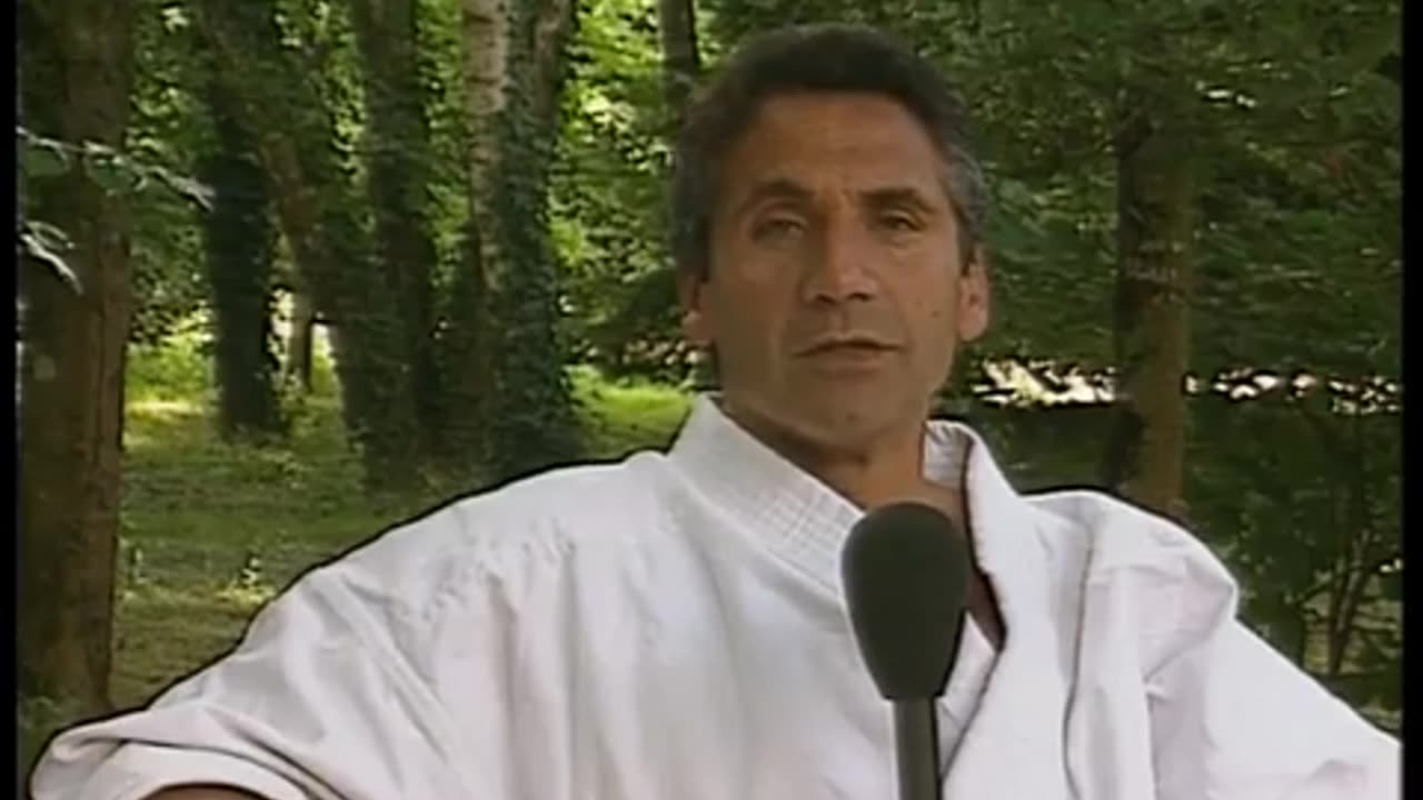 Karate Sparring Techniques