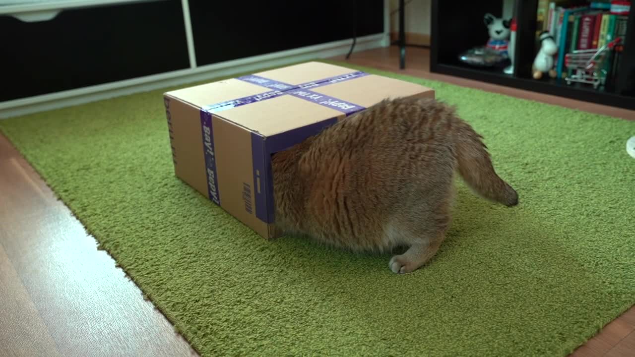 New Box!
