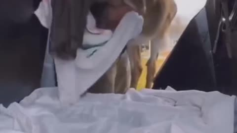Ajudando Um Carinha...