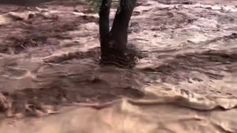 State of Emergency Declared in Las Vegas, New Mexico, Over Unprecedented Flooding