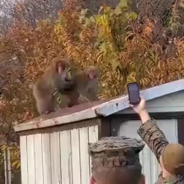 The toughest men in the world