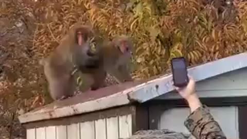 The toughest men in the world