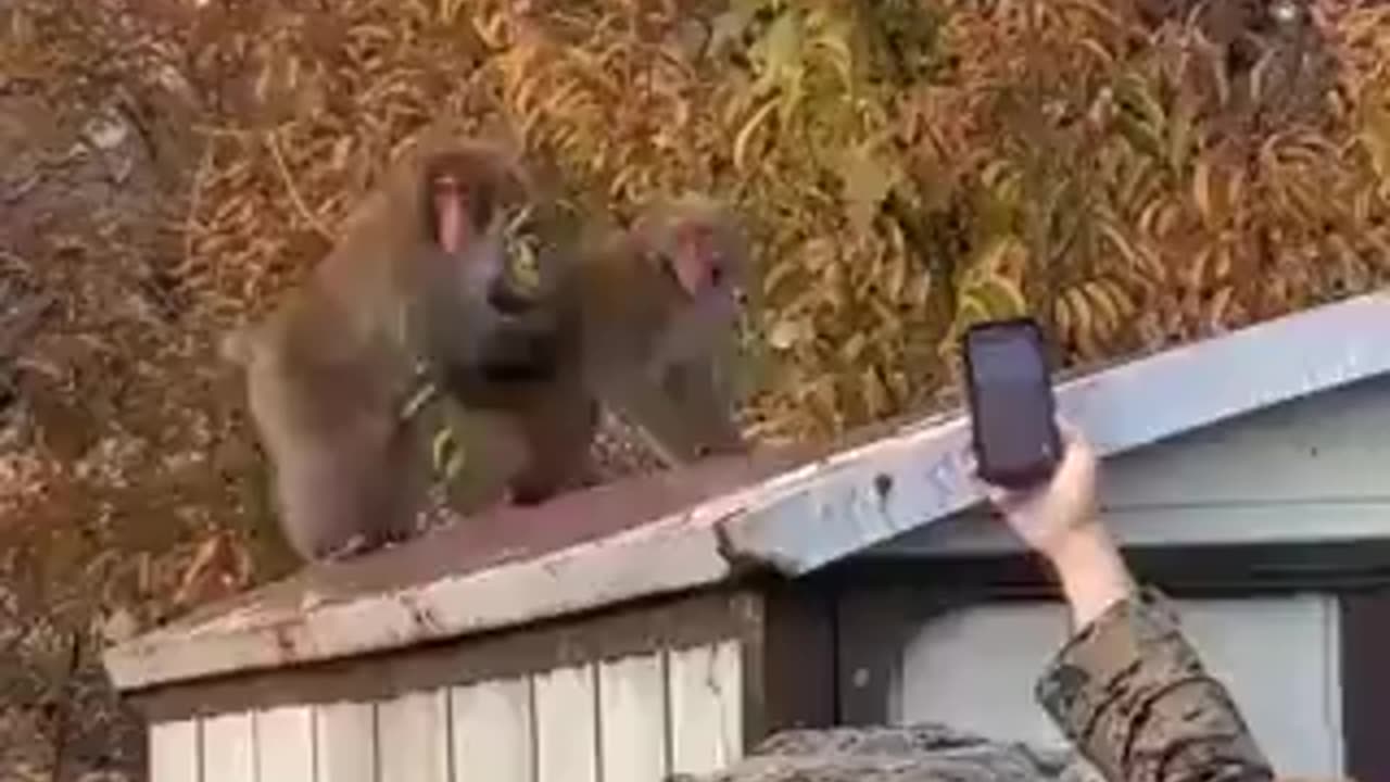 The toughest men in the world