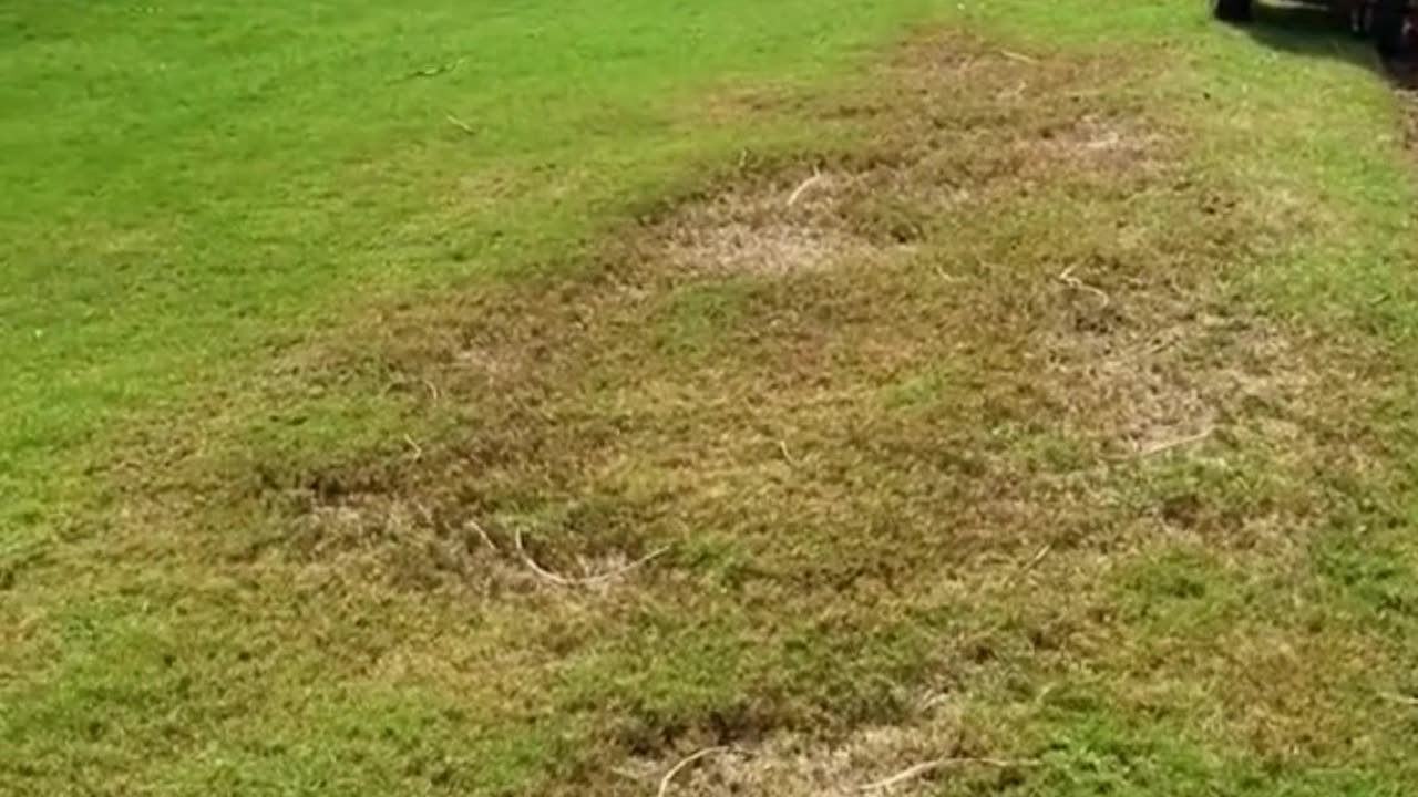 SERÁ QUE É ADUBO? | Is it fertilizer?