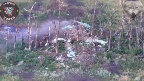 ザリズニャンスコエ西部のウクライナ軍陣地をロシア軍襲撃部隊が掃討。
