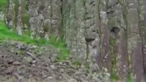 Unsure about this happening..