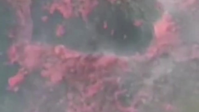 A huge molten boulder slides down the La Palma lava stream towards the ocean in Spain.