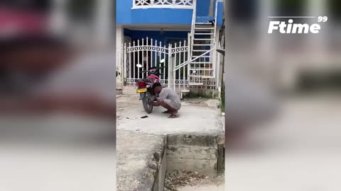 Best Funny Videos - Try Not To Laugh