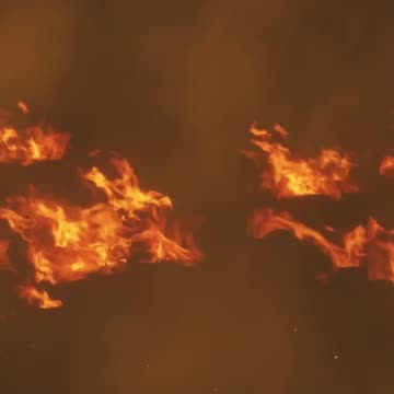 Burned ALIVE! Hunter Call of the Wild