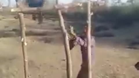 Funny video
