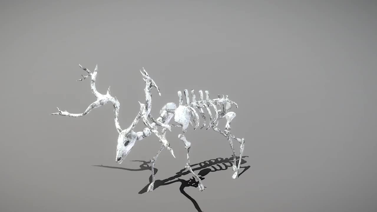 3D Model - Elk Skeleton - Download