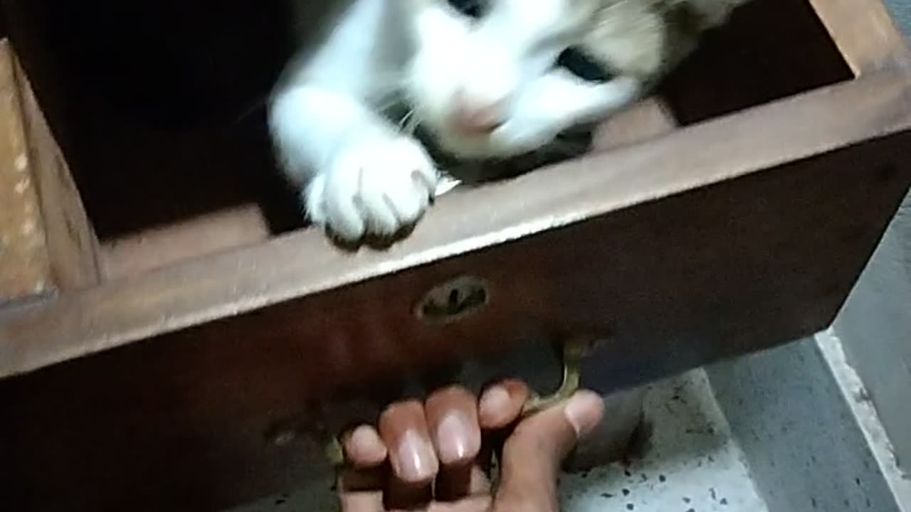 How its possible?