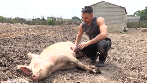 If you LOVE food and You ADORE Animals YOU HAVE TO COME HERE!