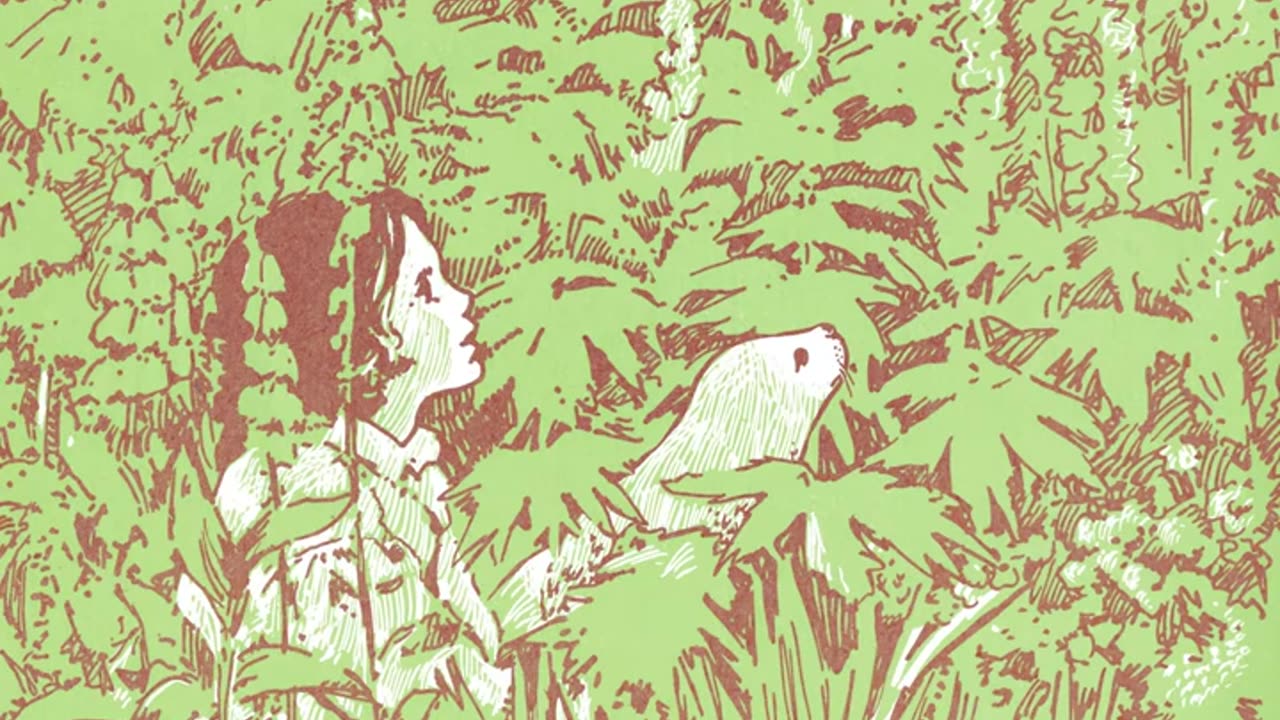 Candy Claws - Ceres & Calypso in the Deep Time (2013) dream pop | shoegaze | psychedelic pop