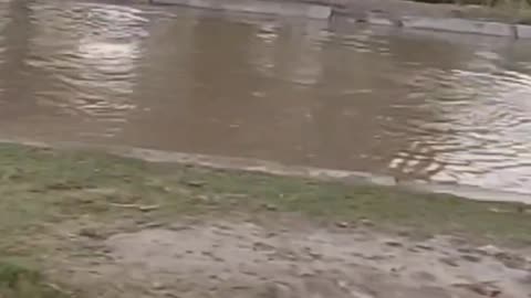 Faisalabadi Talent 🤣😂