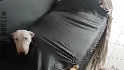 Stuck In Unusual Places