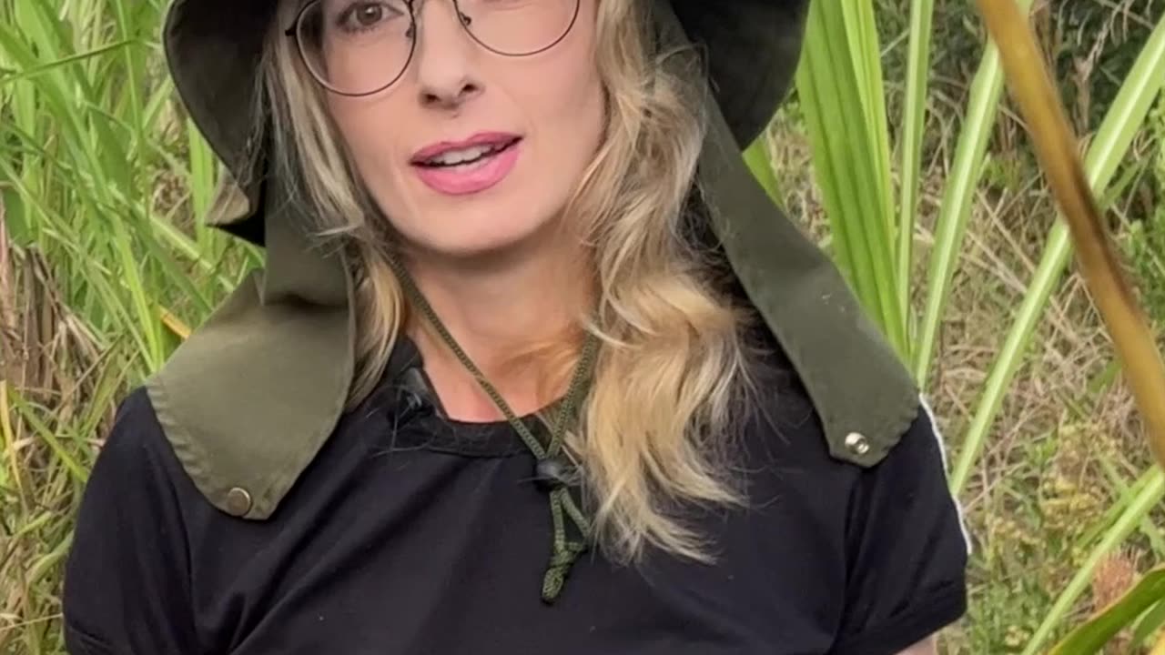 Esta mãe esconde seu filho dentro da folha de uma planta