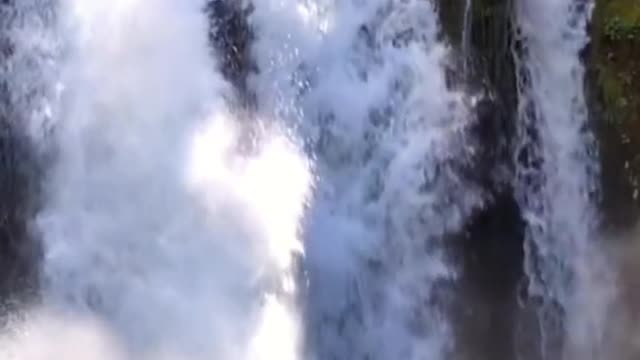 Enjoy the beauty of nature together