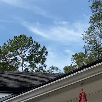 Major Chem Trailing 11/22