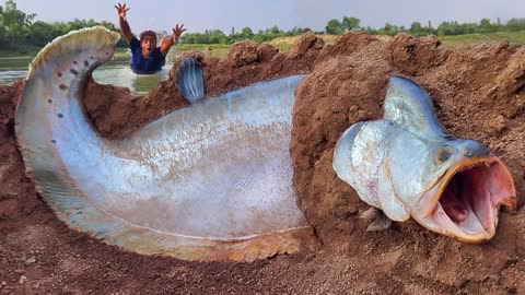 Big Fish Finding Excellent Searching & Catching River Dry Place Stuck Fishing