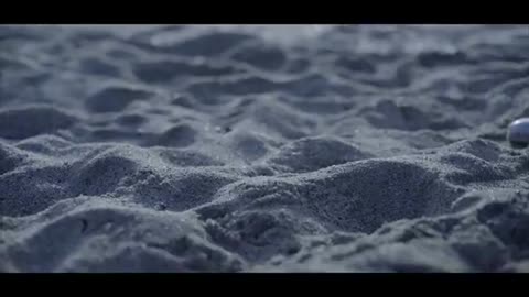 Water 🌊