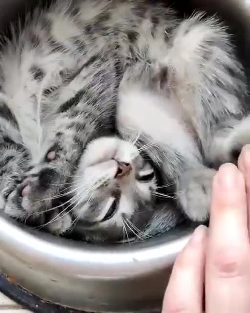 Do Not Disturb Please