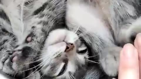 Do Not Disturb Please