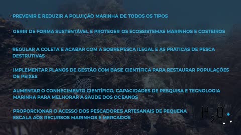 Vida debaixo d'água