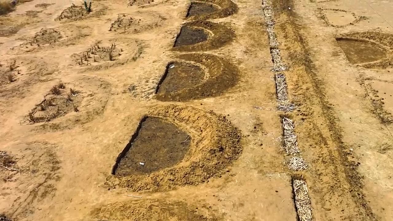 Innovative Land Recovery Project by UN in Sahara Desert