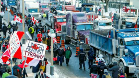 Mike Lindell CEO of MyPillow Has Donated Thousands of Pillows to Trucker Convoy in Canada
