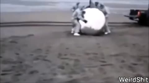 USO RECOVERED IN A BEACH IN SPAIN