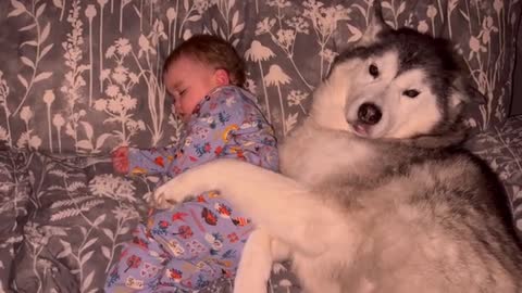 Baby REFUSES To Fall Asleep Without Her Husky Cuddling Her!!😭